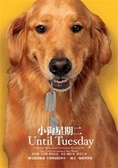 小狗星期二 : 一個受傷的靈魂，在狗狗的陪伴中，一遍又一遍地學習愛